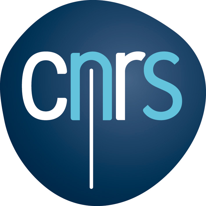 CNRS National Center for Scientific Research 